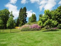 Sud Nettoyage - Entretien espaces verts